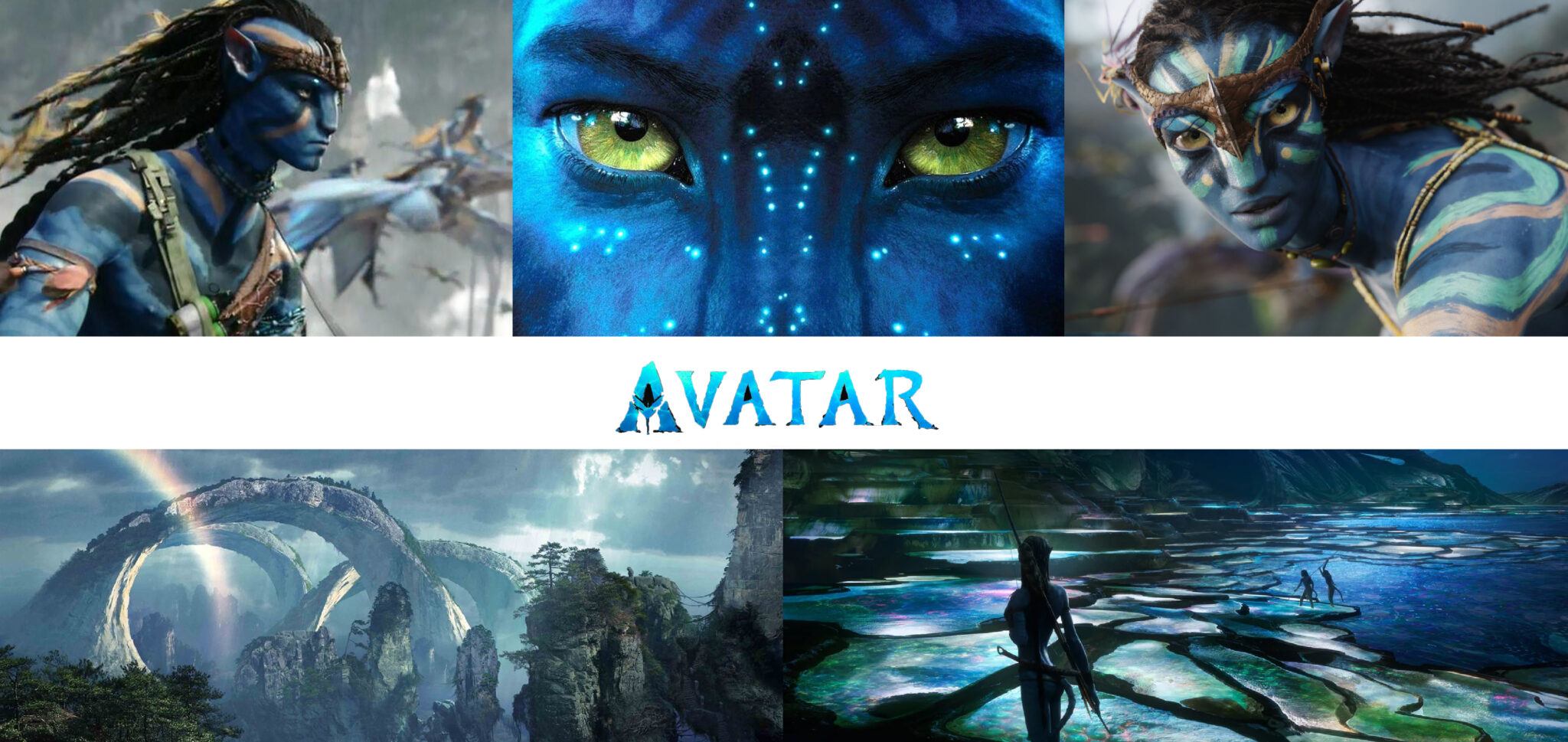 Affiche Avatar 2 -Eléments